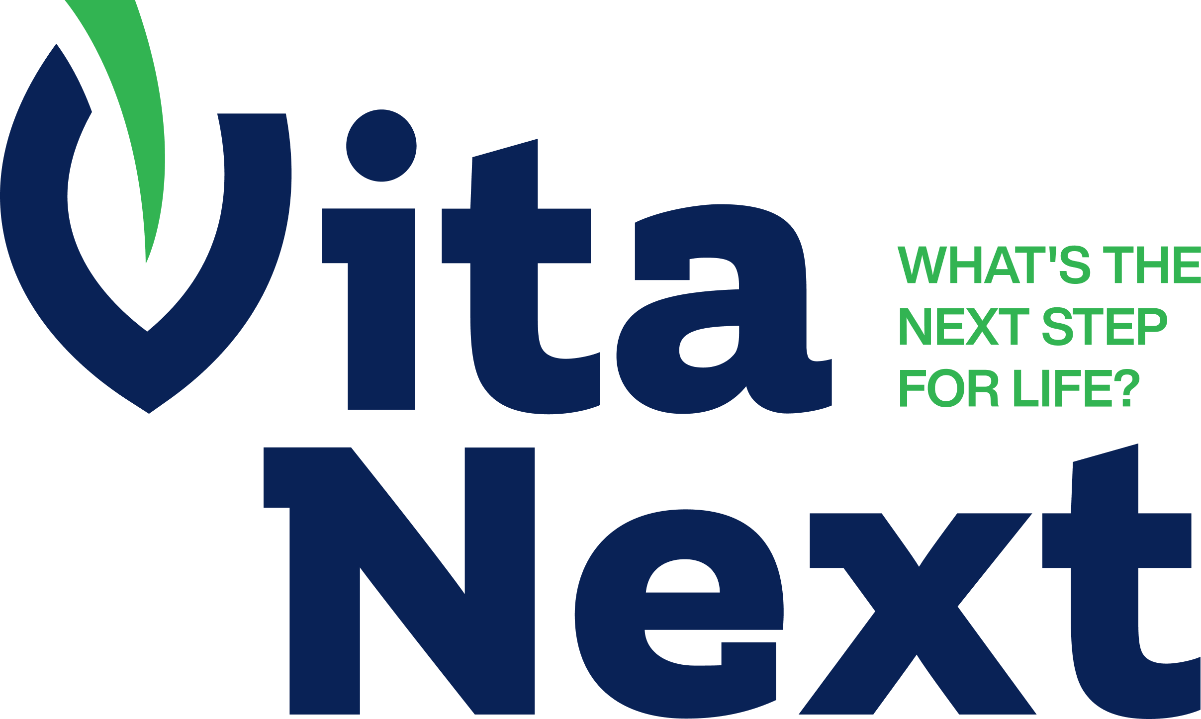 VitaNext Logo